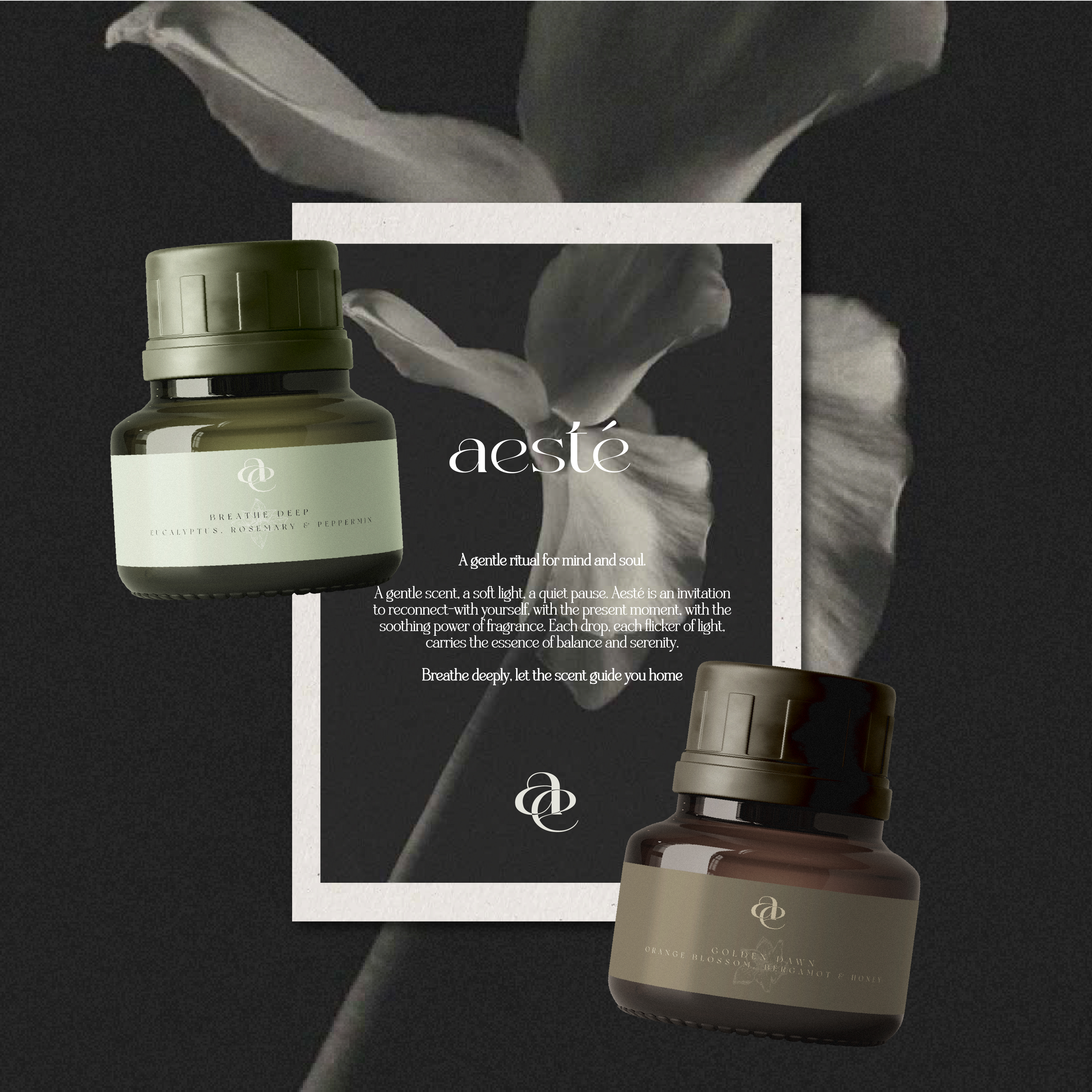 Aesté — Product mockup