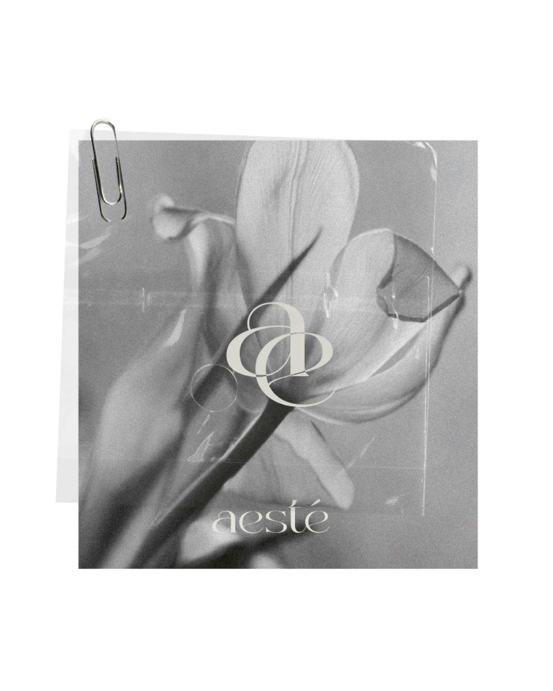 Aesté — Social content